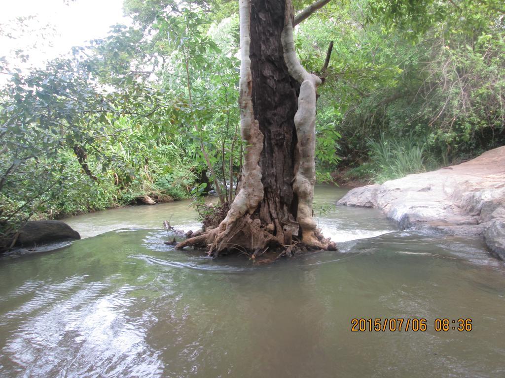 Sigiriya River Side Resort Exterior foto
